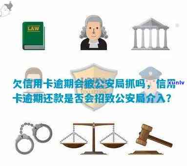 信用卡逾期还款：公安部门是否有权介入管理？