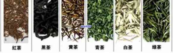 探究云丝茶之源：详解这一独特茶叶的风采