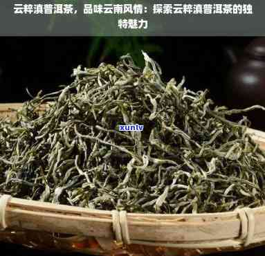 探究云丝茶之源：详解这一独特茶叶的风采