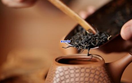 陈年普洱：探寻其所属的独特茶类