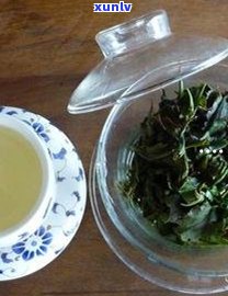 普洱芽孢茶：归类何方茶系？