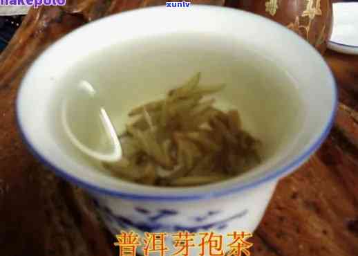 普洱芽孢：独特的茶种，独特的风味