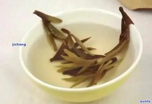 普洱芽孢：独特的茶种，独特的风味