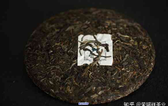 茗月普洱茶：生茶与熟茶之辨析