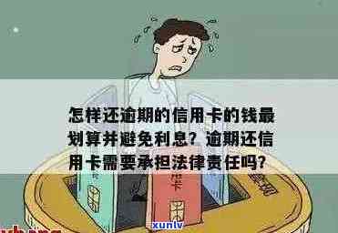 信用卡逾期承担什么司法-信用卡逾期承担什么司法责任