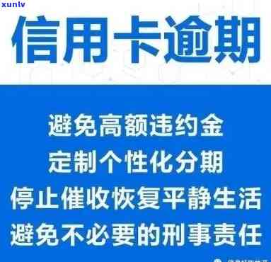 深入了解信用卡逾期催告函的含义与影响