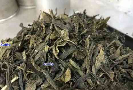 普洱黄金叶茶：独具特色的茶中黄金