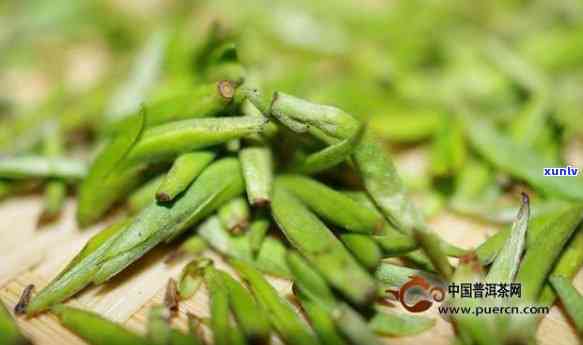 普洱芽尖多少钱一斤？对比普洱茶芽尖与叶，价格及特点分析