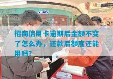 信用卡逾期开庭调解全过程及应对策略：解决用户可能搜索的疑惑和问题