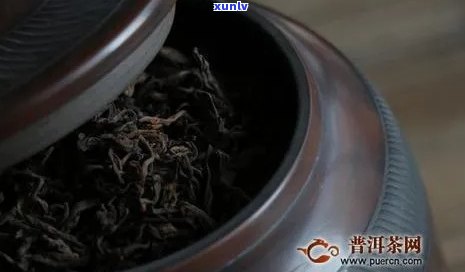 普洱茶用什么茶罐保存：选择与指南