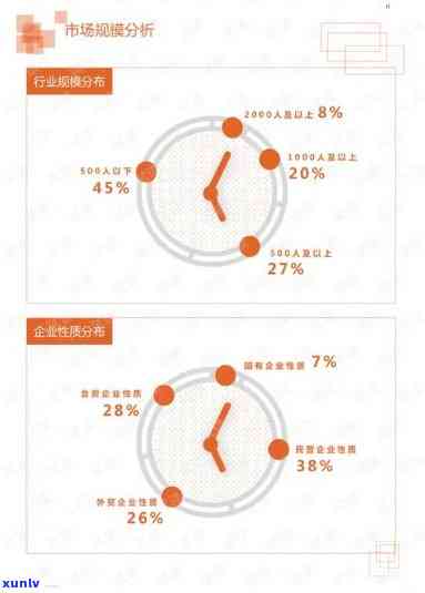 信用卡逾期人群数据分析报告撰写指南