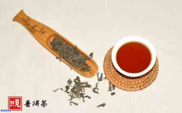 普洱茶是红茶还是黑茶：江南百景图中的茶饮探究