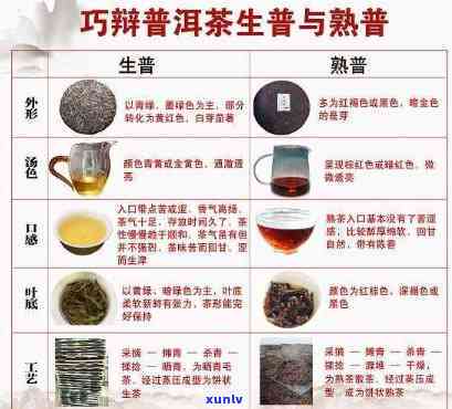 云南普洱是什么茶：种类、出名茶叶、发酵方式及茶种详解