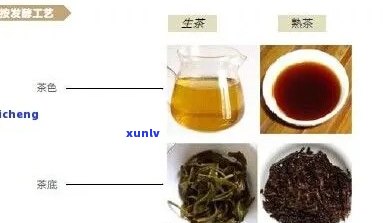 云南普洱是什么茶：种类、出名茶叶、发酵方式及茶种详解