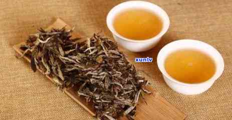 探究普洱青茶的茶类归属：揭秘其独特的茶叶品种