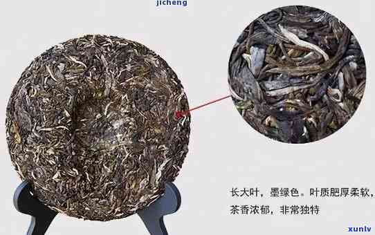 青普洱属于什么茶类-青普洱是什么茶