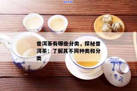 普洱是属于什么茶类别的茶？探究普洱茶的类别归属