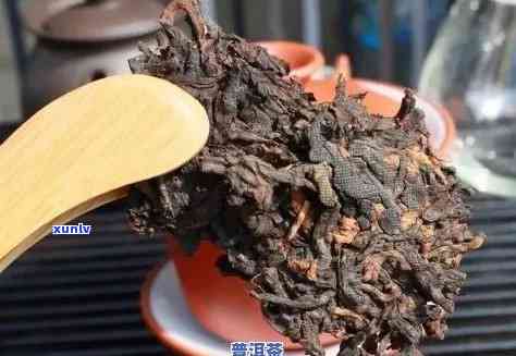 普洱熟普属于什么茶？普洱茶熟普的分类及特点解析