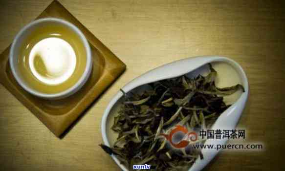 人喝什么牌子普洱茶：人的普洱茶选择