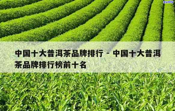 中国十大普洱茶排行最新名单