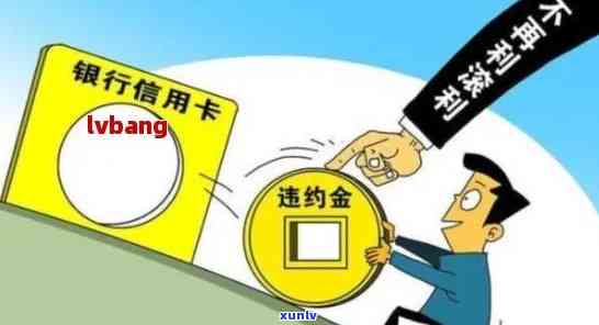 2021年信用卡逾期处理新政策详解：持卡人权益保护与合理还款指南