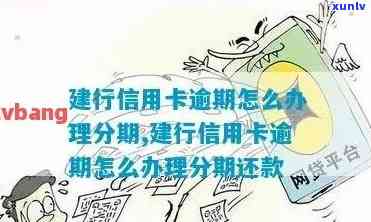 帕卡普洱茶百科：解析普洱茶中的帕卡含义