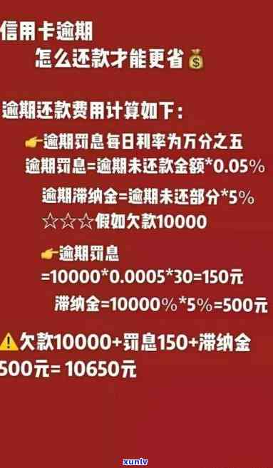 应对信用卡逾期还款的策略与指南