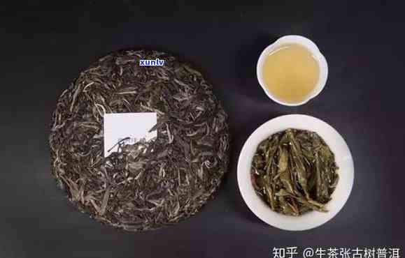 普洱茶热门山头：品鉴与性价比之选