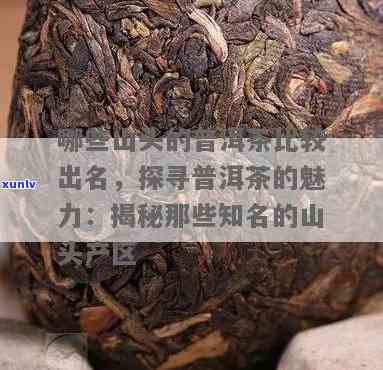 探究普洱茶之美：哪个山头产的普洱茶最为出色？