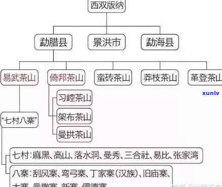 探究双陈普洱茶的源头：揭秘其所属的山头