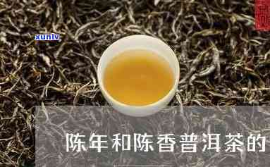 揭秘双陈普洱：陈茶与年份的秘密