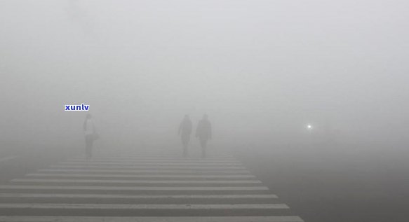 普洱茶六大山头与十大寨：探寻云南普洱茶的核心产区