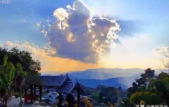 普洱六大山头十大寨是哪里：云南著名普洱茶产区景点指南