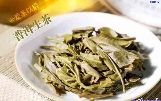 探秘普洱生茶：了解这一独特的茶叶品种