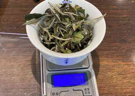 探讨普洱生茶：红茶还是白茶？揭示其独特分类