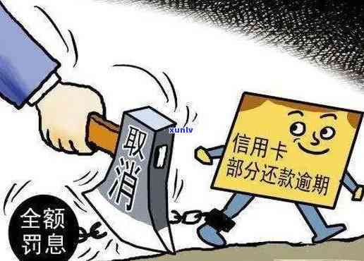 揭秘信用卡减免背后的真相：欠款减免政策真的存在吗？