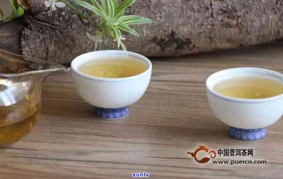 12年生普洱茶是否适宜饮用：品鉴与保存指南