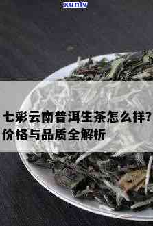 探究七彩云南普洱茶饼的价格因素与购买指南