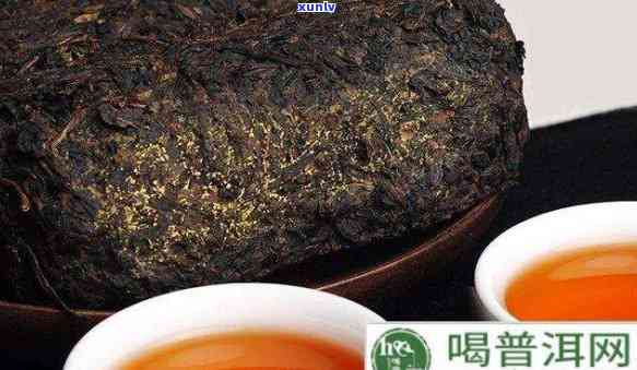 安茶与普洱的区别：解析安化黑茶与黑茶的关联