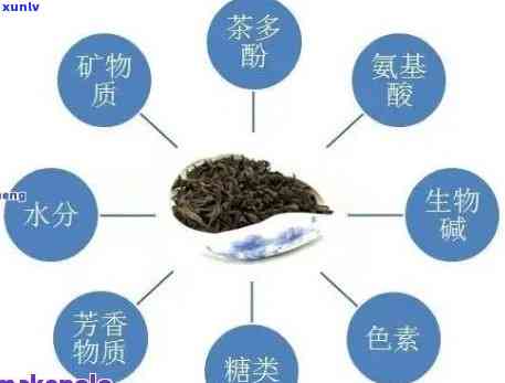 探索普洱茶中的氨基酸奥秘：普洱茶氨基酸含量一览无遗