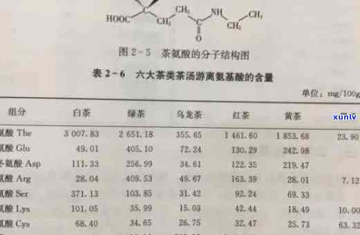 探索普洱茶中的氨基酸奥秘：普洱茶氨基酸含量一览无遗