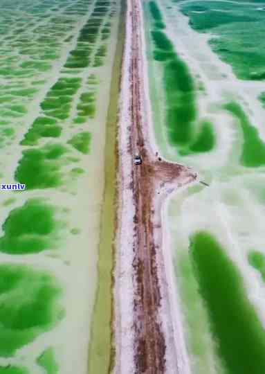 探寻青海翡翠湖：自然与人和谐共生的秘境之旅