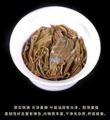 探索老班章2019春茶的价格区间