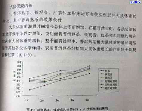 探究生普洱茶日常饮用对身体的潜在影响