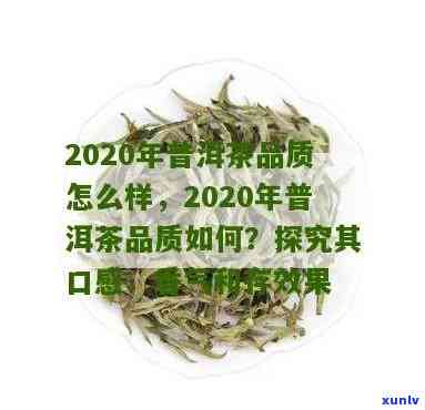 2020年份普洱生茶品鉴：是否适宜饮用