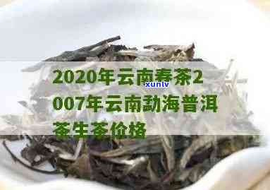 2020年普洱生茶-2020年普洱生茶价格