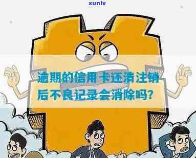 逾期后信用卡被注销了还需还完吗,如何恢复及查看明细