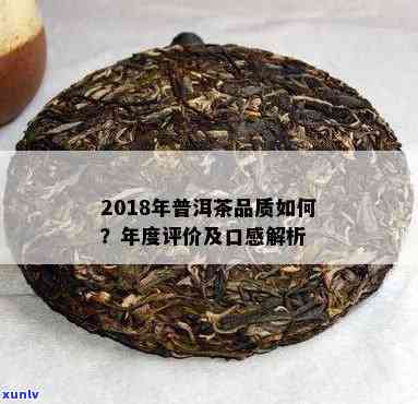 2018年普洱生茶品质评价：是否值得收藏与品鉴