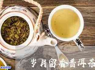 岁月古香普洱茶：岁月留香岁月藏香年轮茶价格查询