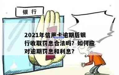 古董收藏家珍藏的稀有老坑贵妃翡翠手镯，揭示其独特魅力与历史价值